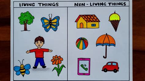 5 non living things drawing|Still Life Drawings .